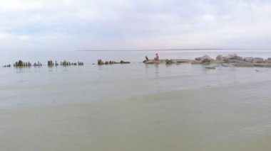 Bir adam karabatakla oynuyor. Havadan çekim