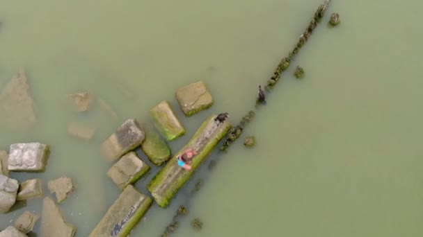 A man is playing with a cormorant. Aerial shot — Stock Video