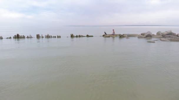 Un hombre está jugando con un cormorán. Disparo aéreo — Vídeo de stock