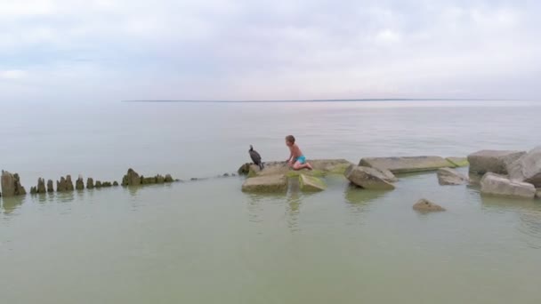 Een man speelt met een aalscholter. Luchtfoto — Stockvideo