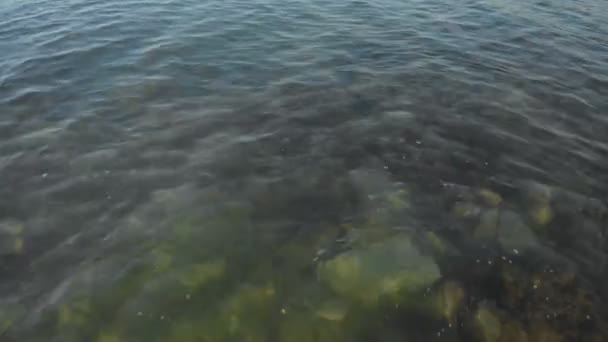 Ein Mädchen schwimmt auf einem Gummiring im Meer. Urlaub am Meer im Sommer. Luftaufnahme — Stockvideo