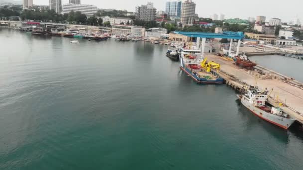 Dock for yachts and ships at sea. Aerial shot — Stock Video