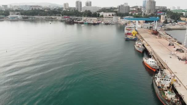 Brygga för yachter och fartyg till sjöss. Aerial shot — Stockvideo