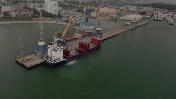 Cargo port at sea. Aerial shot — Stock Video