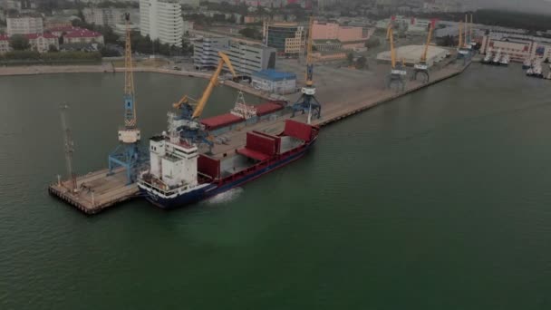 Vrachthaven op zee. Luchtfoto — Stockvideo