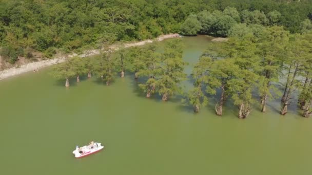 Lago di montagna con cipressi paludosi. Colpo aereo — Video Stock