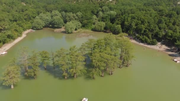 Lago de montaña con cipreses pantanosos. Disparo aéreo — Vídeo de stock