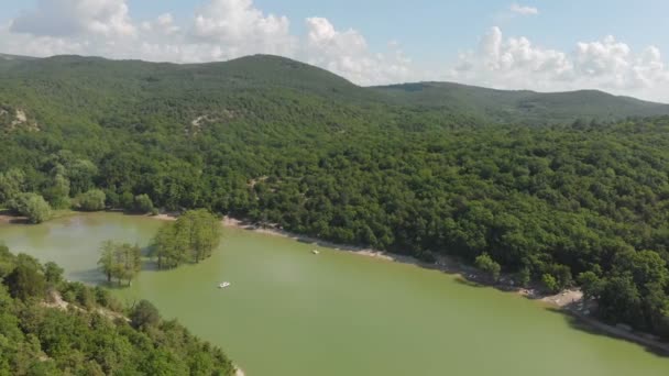 沼のヒノキを持つ山の湖。航空写真 — ストック動画