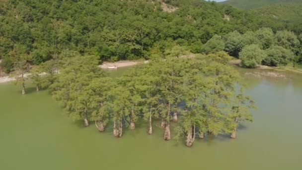 Lago da montanha com ciprestes de pântano. Tiro aéreo — Vídeo de Stock