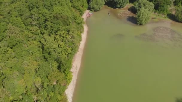 沼のヒノキを持つ山の湖。航空写真 — ストック動画
