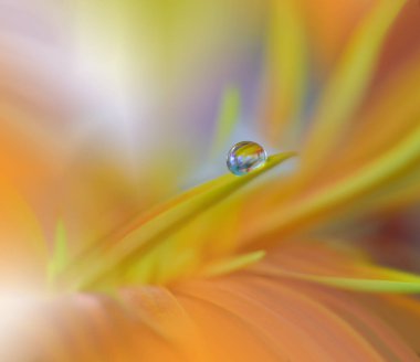 Soyut makro fotoğraf su ile bırakır. Sakin soyut portre sanat arka plan. Masaüstü için sanatsal arka plan. Pastel Colors.Transparent ve temiz su boncuk. Duvar kağıdı için baskı... Çiçek fantezi tasarım. Modern sanat.