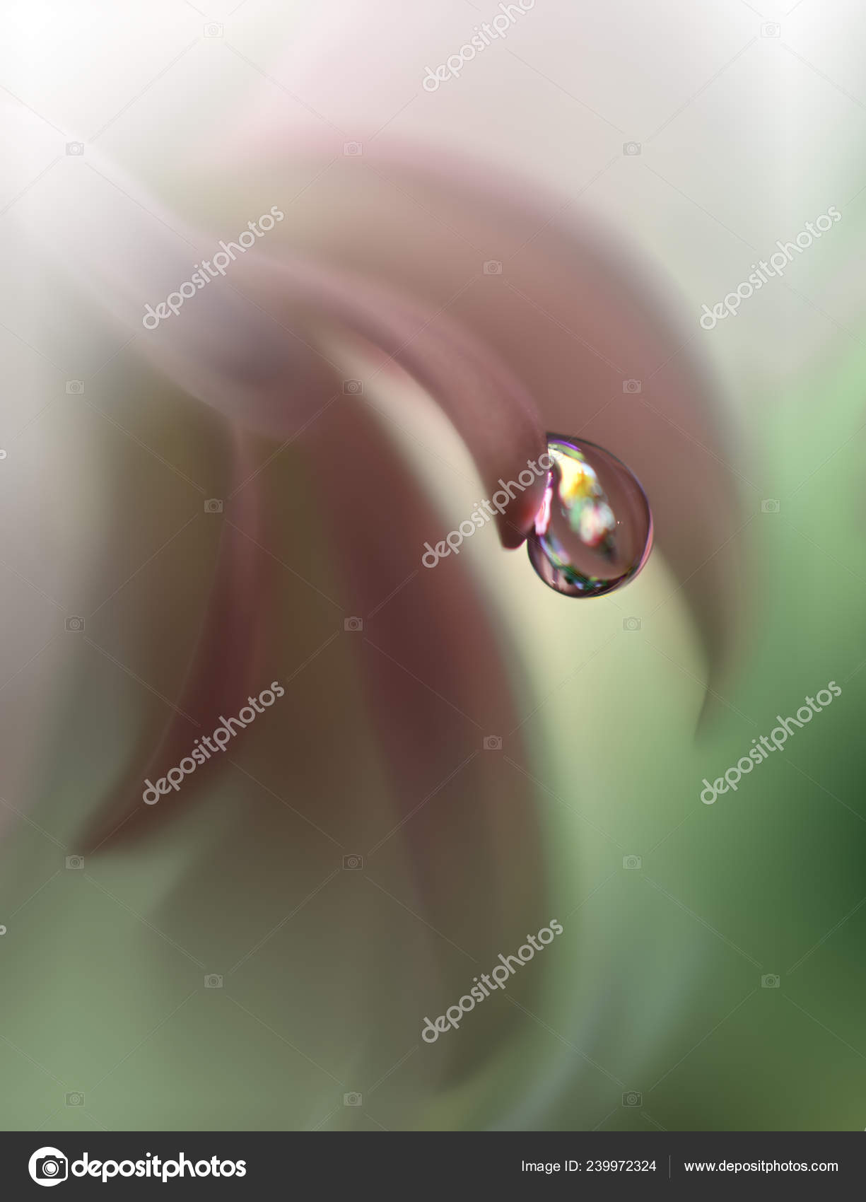 Abstract Macro Photo Water Drops Artistic Background Desktop