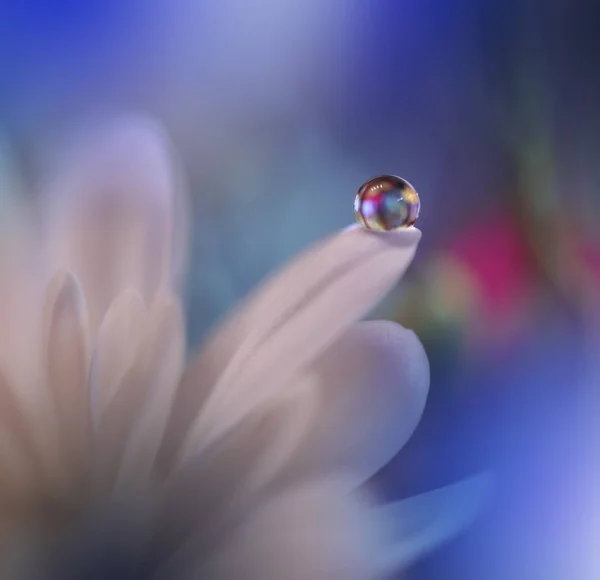 Абстрактні Макро Фотографії Краплями Води Художній Фон Робочого Столу Квіти — стокове фото