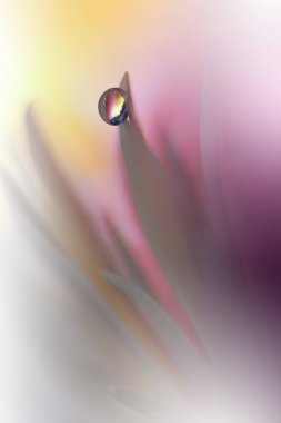 Güzel doğa Background.Colorful Artisitic Wallpaper.Natural makro Photography.Beauty Nature.Creative çiçek Art.Tranquil doğa portre görünümünde. Senin metin için bulanık yer. Soyut bahar Flowers.White ve mor renkler.