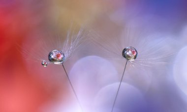 Güzel turuncu doğa Background.Colorful Artisitic Wallpaper.Natural makro Photography.Beauty Nature.Creative çiçek Art.Tranquil doğa portre görünümünde. Senin metin için bulanık yer. Soyut bahar çiçekleri.