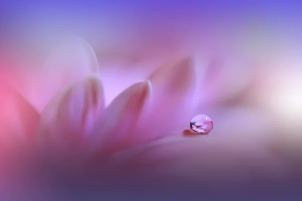 Vakkert Makronebilde Magiske Blomster Magisk Lys Ekstrem Nærbilde Makromografi Konseptuell – stockfoto