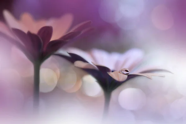 美丽的巨枪的魔法花 魔法之光极端特写微距摄影 概念抽象图像 紫罗兰和白色背景 梦幻花卉艺术设计 创意艺术壁纸 自然背景 惊人的春天花 — 图库照片