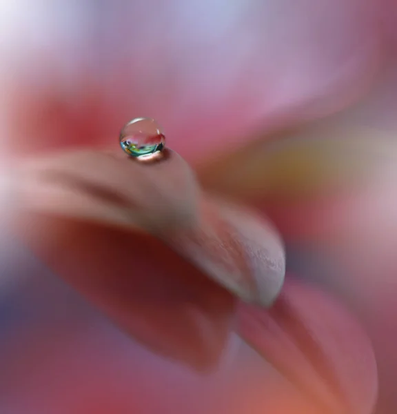 Beau Fond Coloré Nature Macro Prise Vue Fleurs Magiques Printemps — Photo