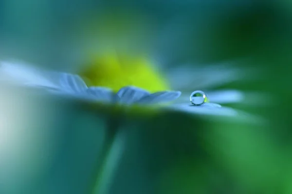 Prachtige Groene Natuur Achtergrond Florale Kunst Design Soft Focus Macro — Stockfoto