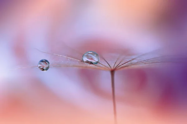 Vacker Natur Bakgrund Blommig Konst Design Abstrakt Makro Fotografering Pastell — Stockfoto