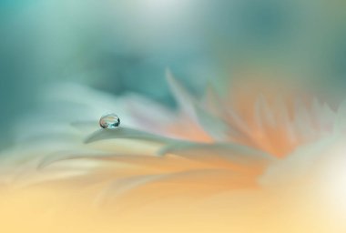 Güzel Doğa Arkaplanı. Çiçek Tasarımı. Soyut Makro Fotoğrafı. Daisy Çiçeği. Pastel Çiçekleri. Yeşil Arkaplan. Yaratıcı Sanatsal Duvar Kağıdı. Düğün Davetiyesi. Kutlama, Aşk..