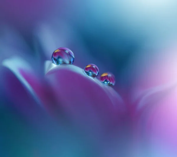 Gyönyörű Természet Háttér Floral Art Design Absztrakt Macro Photography Violet — Stock Fotó