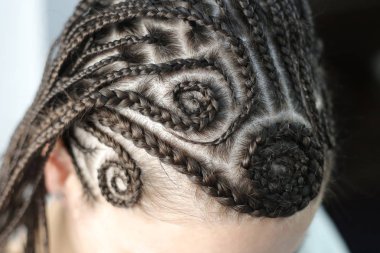 örgü pigtails, saç örgülü kökenden gelen çizim, nötr arka plan baş kızlar, kadınlar