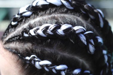 boksör renkli saç, bir ustanın iş, bir güzellik salonu örüleceği örgüler sonucu beş kalın örgüler örgü