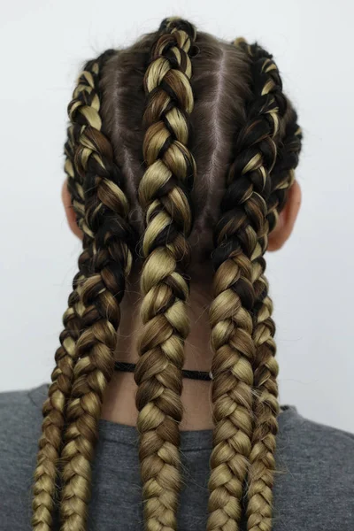 五厚辫子在一个女孩的头上站在她的背部白色背景特写 吐口水的季节发型的 Kanekalon — 图库照片