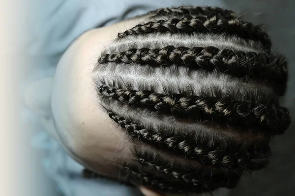 thin pigtails, a texture of hair, pigtail patterns, the result of the work of a master, a hairdresser, the work process