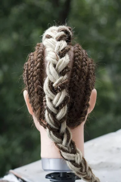 薄いおさげ髪 マスター 美容院 作業プロセス 芸術材料カネカロンのドレッドヘアの作業の結果 ピグテール パターン髪のテクスチャ — ストック写真