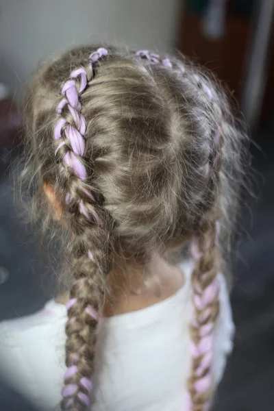 Κορίτσι Δύο Πλεξούδες Ελαφρύ Ροζ Ένα Αναμαλλιασμένος Hairstyle Μια Τρίχες — Φωτογραφία Αρχείου