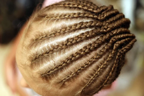 お下げ頭の女の子では 中立的な背景 髪を編んで背景から図面おさげ髪の女性 — ストック写真