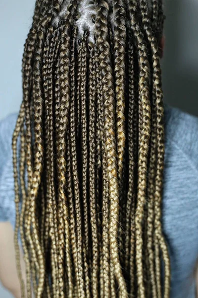 Texture Thick African Braids Back View Lots Thin Braids — Stock Photo, Image