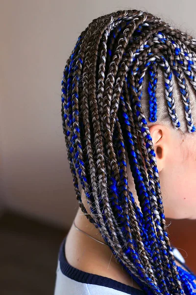 Tranças Finas São Reunidas Cauda Cabelo Azul Estilo Africano — Fotografia de Stock