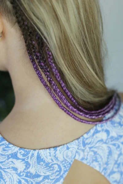 thin pigtails peep out from under the hair of girls, purple brai