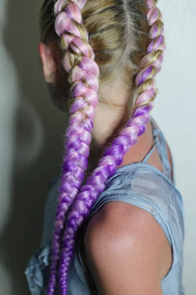 thick pink braids, colored hair close-up on a white background h