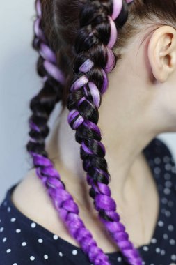 ince boks örgüler, eflatun kanekalon malzeme, renkli saç beyaz bir arka plan, bir kız için saç modeli, iki kalın örgüler pigtails kıvrımlı