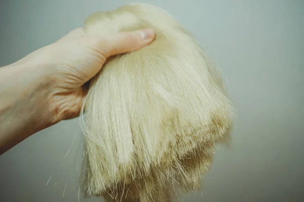 Matériaux de cheveux synthétiques pour le tissage, tressage tresses africaines zizi, Kanekalon — Photo
