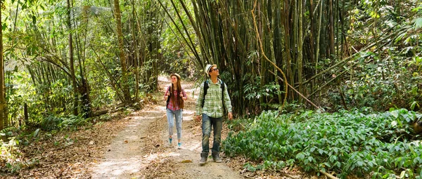 竹のジャングルの中を歩くハイカー 旅行や観光の概念 選択的フォーカス バナーとパノラマ版 — ストック写真