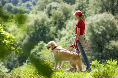 peyzaj doğa orman insanlar ve köpek
