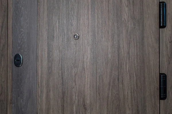 Closed door.Dark brown wooden door closeup. Modern interior design, door handle. New house concept. Real estate.