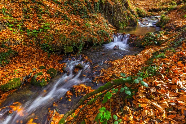 美丽的秋天风景 小河瀑布流淌在美丽的秋天森林里 夕阳西下 一片五彩缤纷的落叶中 — 图库照片
