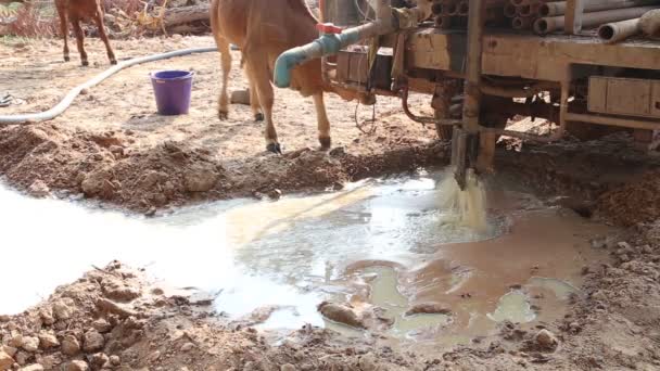 Pozo Agua Subterránea Máquina Perforación Sequía Afecta — Vídeos de Stock