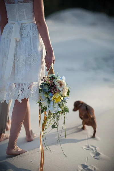 The girl goes with a bouquet on the sand next to the dog — Stock Photo, Image