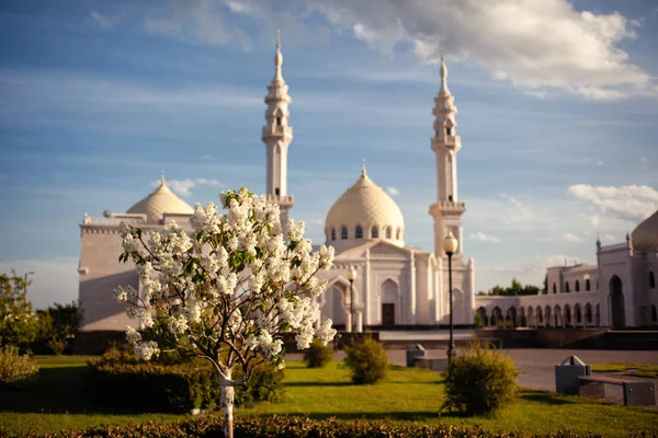 Белая мечеть и цветущее яблочко — стоковое фото