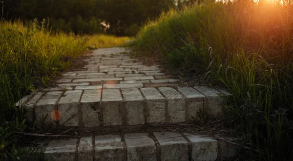 Kamenné schody v trávě se sluncem — Stock fotografie