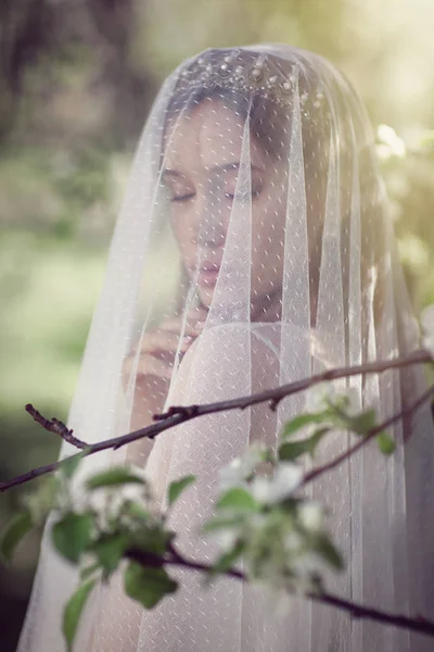 Bela noiva jovem em um jardim florescente — Fotografia de Stock