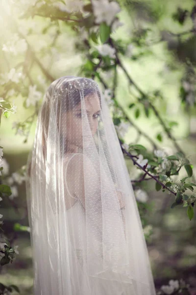 Bela noiva jovem em um jardim florescente — Fotografia de Stock