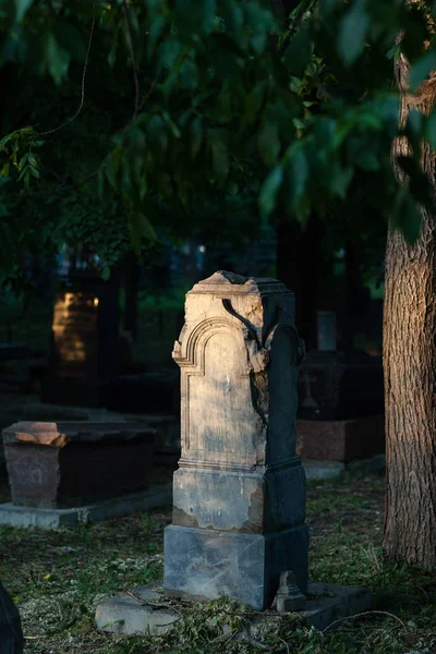 Памятник на могиле в парке — стоковое фото